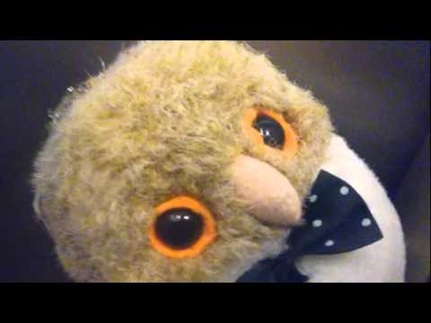 Make your own evil owl advert!