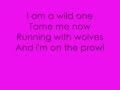 Wild Ones ~ Flo Rida ft. Sia (Lyrics)