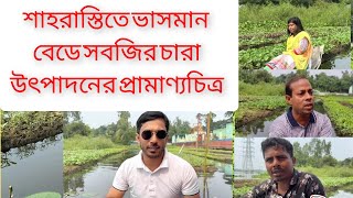 ভাসমান বেডে সবজির চারা উৎপাদন