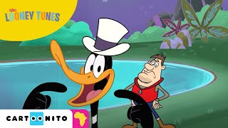 New Looney Tunes | Nature Documentary | Boomerang Africa