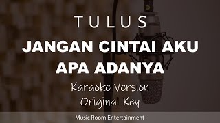 Download lagu Jangan Cintai Aku Apa Adanya - TULUS (Original Key) Song Karaoke Dan Lirik mp3