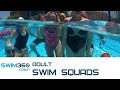 SWIM360 Adult Swimming Squad