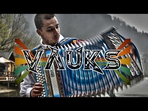 TimiJani ( Vauks, TimPs ) - Jaz Bom Muzikant (Official Video)
