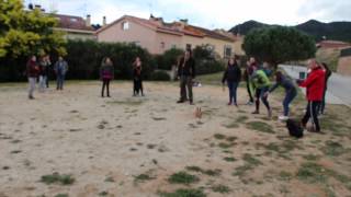 Raiers, bitlles i Garrinada