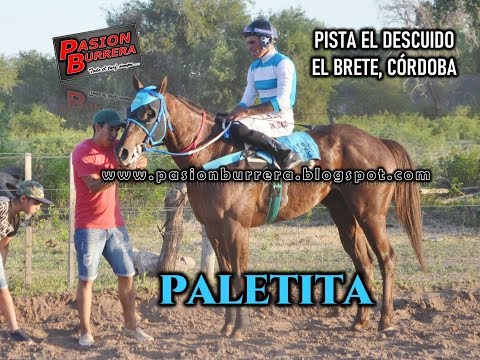 PALETITA, Pista El Descuido - El Brete (17-11-19)