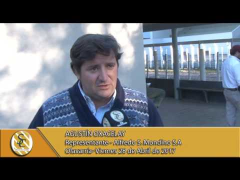 28-04-17 - Nota a Agustín Oxacelay - Alfredo S. Mondino S.A - Olavarría