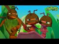 ️Knight Fight ️ ANTIKS Funny Cartoons For All The Family