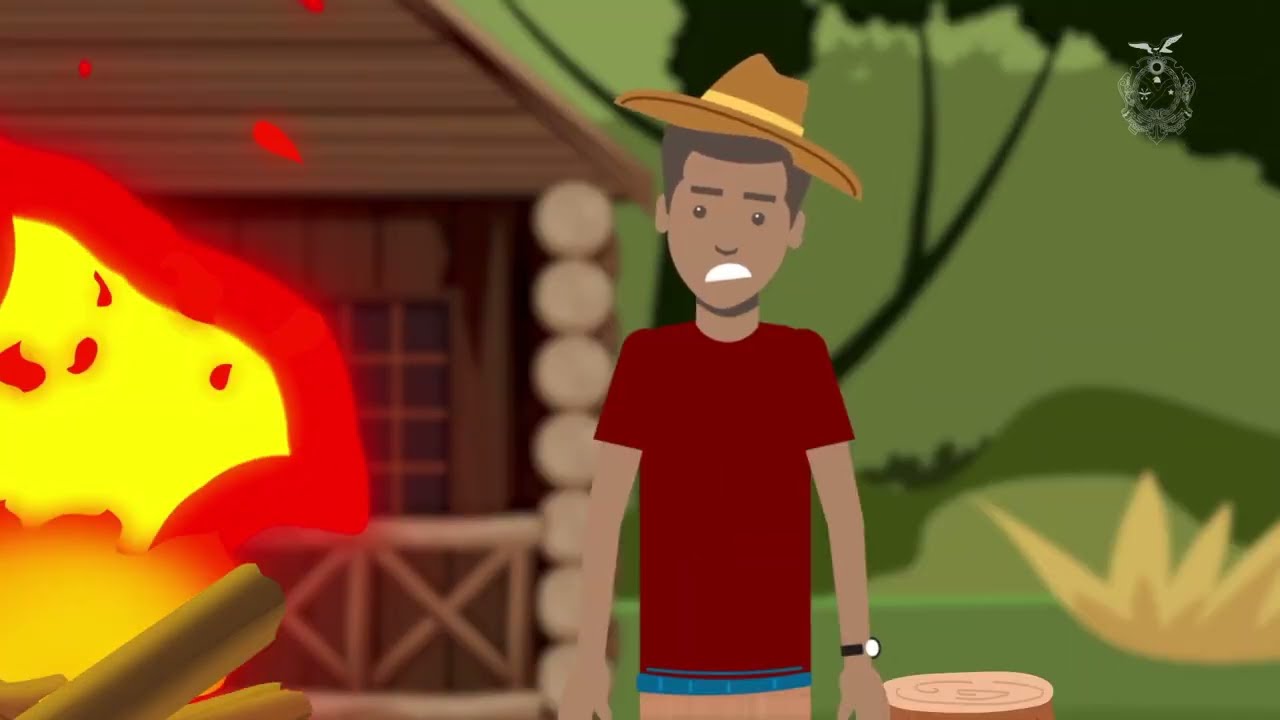 Campanha contra Queimadas - Secretaria de Estado do Meio Ambiente (Sema) do Amazonas