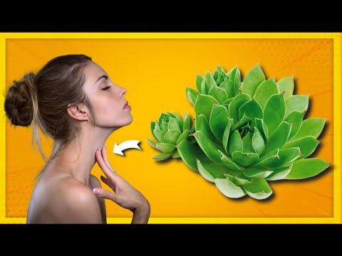 Struggling with Thyroid Issues? Try This 3-Ingredient Natural Remedy