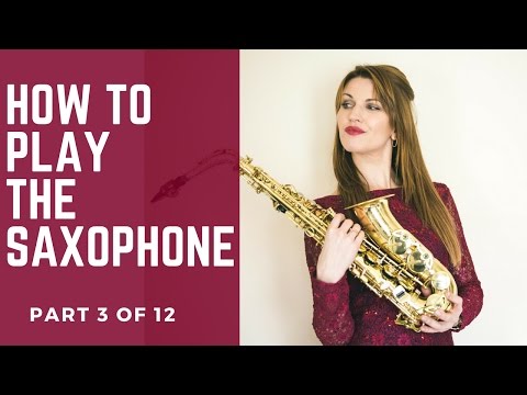 3/12 FIRST 14 NOTES! 'How to play saxophone - BEST BEGINNERS GUIDE 🎶 lesson/tutorial