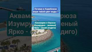 Почему в Карибском море такой цвет воды ? #caribbean #umarkeyn #cruisetour #mscseaside #oceancay #4k