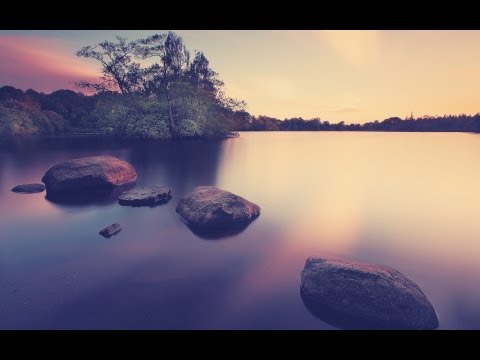 WunSmile - Jacoo - Foreign Dreams (feat. Laura Hahn)