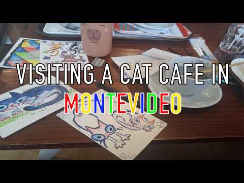 Visiting A Cafe Cafe In Montevideo