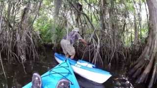 preview picture of video 'Loxahatchee River Geocaching'