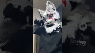 ダンスやってみた！  #ファーリー #ケモノ #ダンス動画