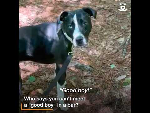 Turbo found love in an unlikely place