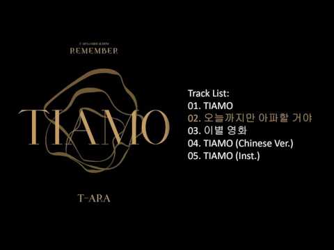[Full Album] T ARA – REMEMBER Mini Album