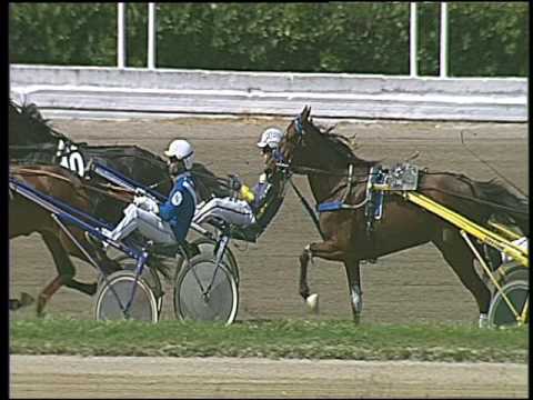 Trotto 13/05/2016 - 2° corsa