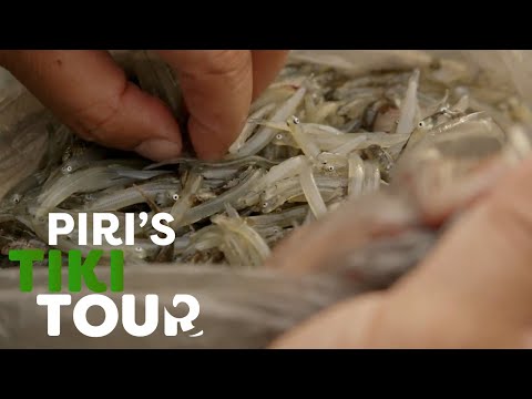 Whitebaiting on the West Coast, New Zealand - Piri's Tiki Tour - S1 Ep 9