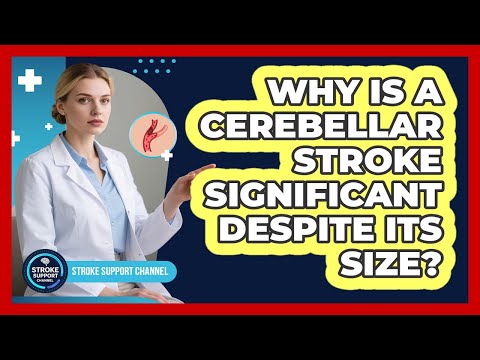 Why Is A Cerebellar Stroke Significant Despite Its Size? - Stroke Support Channel
