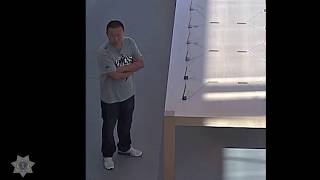 Do you recognize this suspect Case 17-271-0916