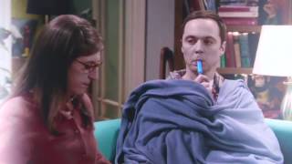 The only conclusion - Shamy