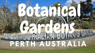 Perth Botanical Gardens Nature | Birds, Water, Trees | No Talking #australia #visitperth