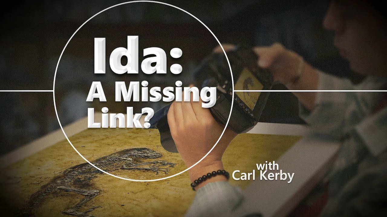 Origins: Ida: A Missing Link?