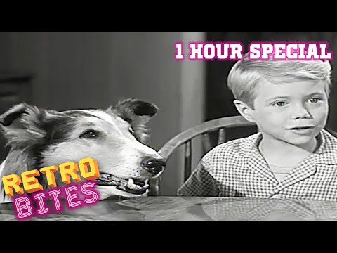 1 Hour Special | Lassie | Old Cartoons