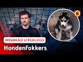 'HORRORFOKKERS' niet te STOPPEN?! | Misdaad Uitgelegd