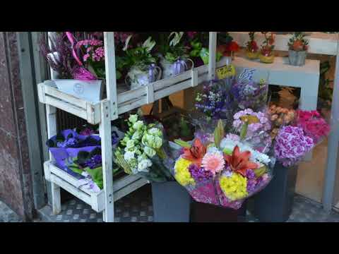 Floristería Fiori - Venta de Flores a Domicilio - Conoce nuestra tienda Física
