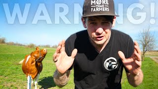 ⚠️OVERGRAZING WARNING! ⚠️