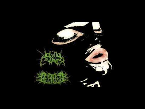 GerbeЯ & Vaginal Cadaver - Split (2017) (Goregrind / Porngrind)