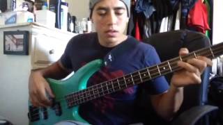 Soja- Signature (bass cover)