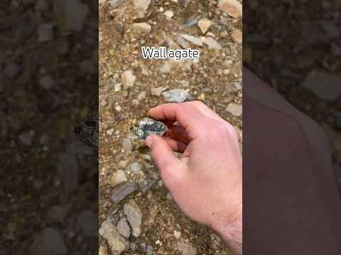 Wall agate at Tunnel Beach. #Oregon #coast #find #rock #explore #nature #volcano #crystal #fyp #pnw