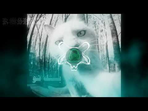 Shahyn - Bestek now (Feat. SAMER) 8D | شاهين و سامر - بستك نو