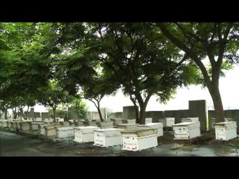 苗栗區農業改良場簡介 台