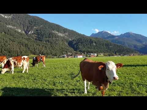 Beautiful Automn at the Achen Lake