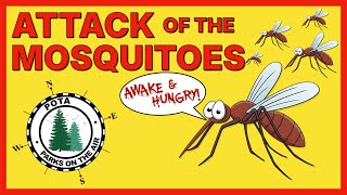 Attack of the Mosquitoes & the FX-4CR at 5 Watts
