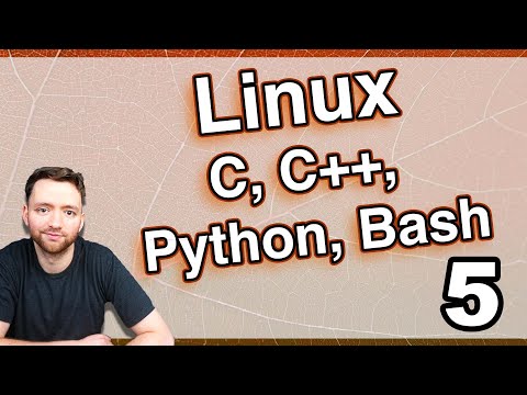 How to Run Code in Ubuntu Python C C Bash apt get