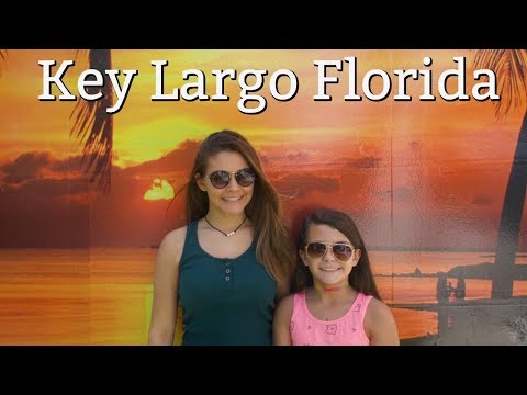 Snorkeling in Key Largo is beautiful! Are there sharks in the water?