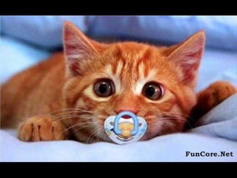 Melita Osojnik -Duda