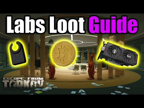 Labs Loot Guide 2025 (With New Area) - Escape from Tarkov