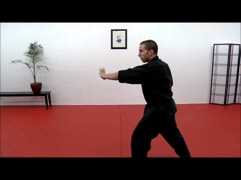 CASA DE KENPO - American Kenpo - Form 6 Demo