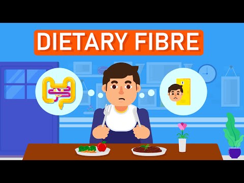 Dietary Fibre: The Most Important Nutrient? Best Fiber Foods?