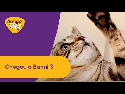 Banni 3: Múltipla proteção para o seu gato! | Amigo Pet