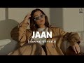 Jaan (slowed+reverb) - Prm Nagra - Panther vibes