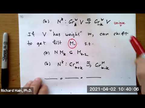A Guide to Variations of Mixed Hodge Structure: Generalities and Examples