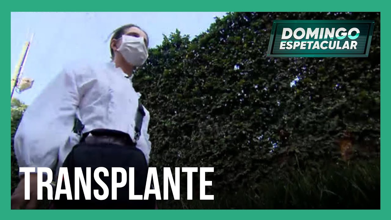 Coração artificial: aparelho é alternativa para quem tem problemas cardíacos