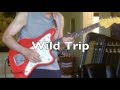 Ventures Tribute: Wild Trip